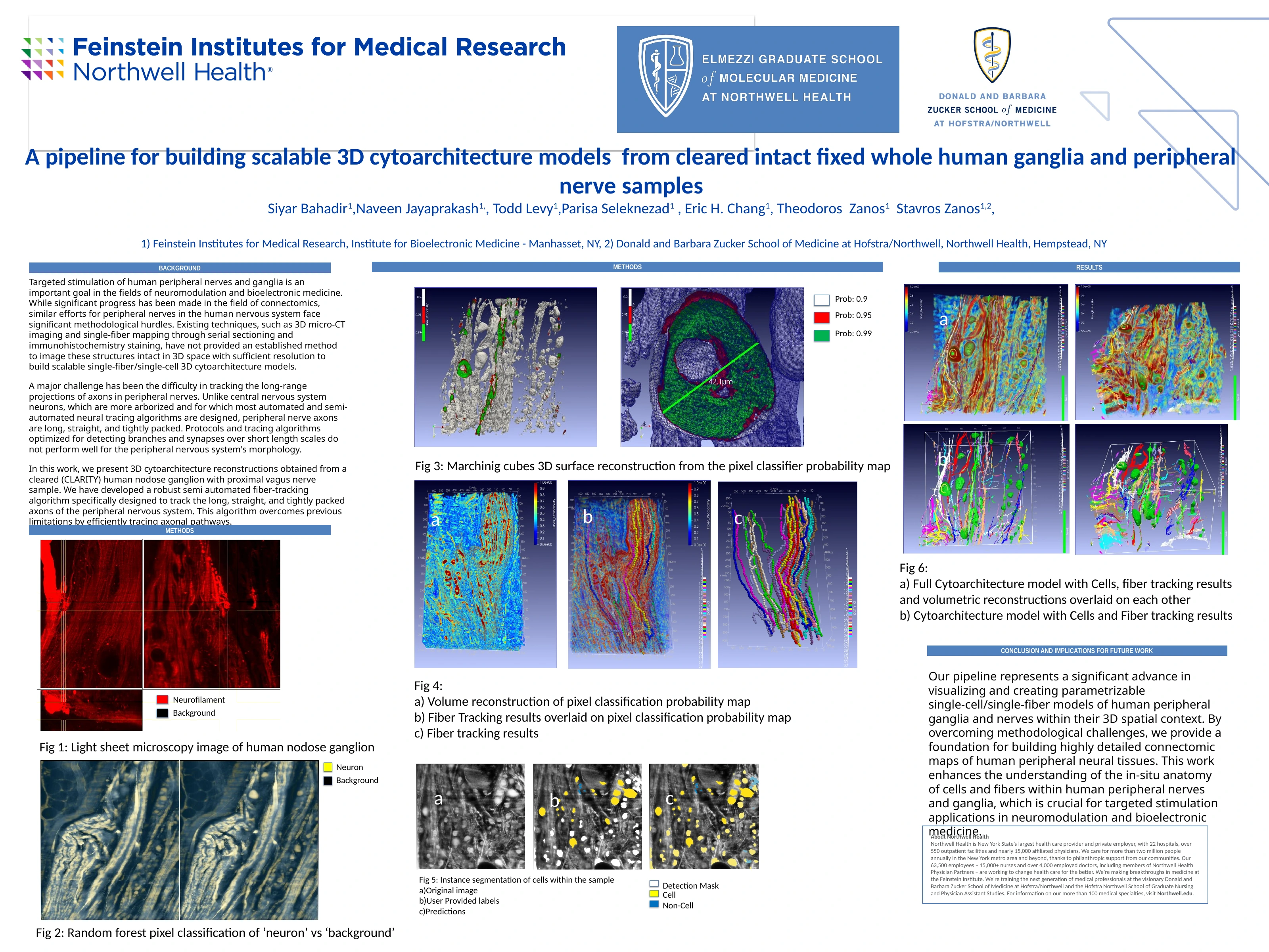 3D cytoarchitecture of human ganglia and nerves — original research poster with author credits and figures