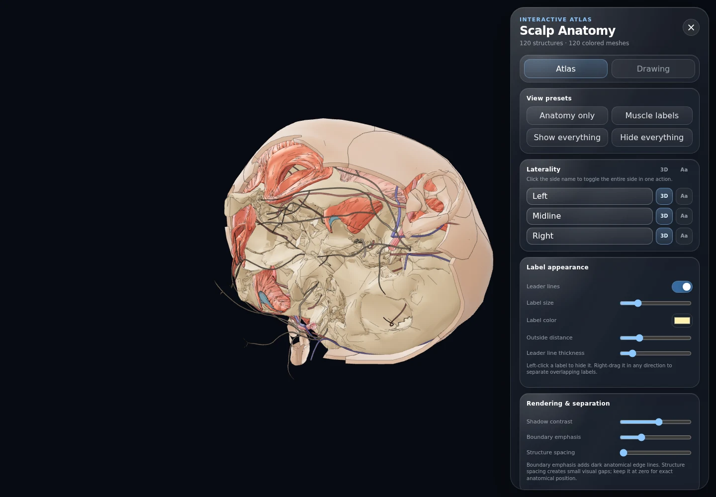 Neuroplastic Anatomy application showing the layered anatomy of the scalp and head with structure controls